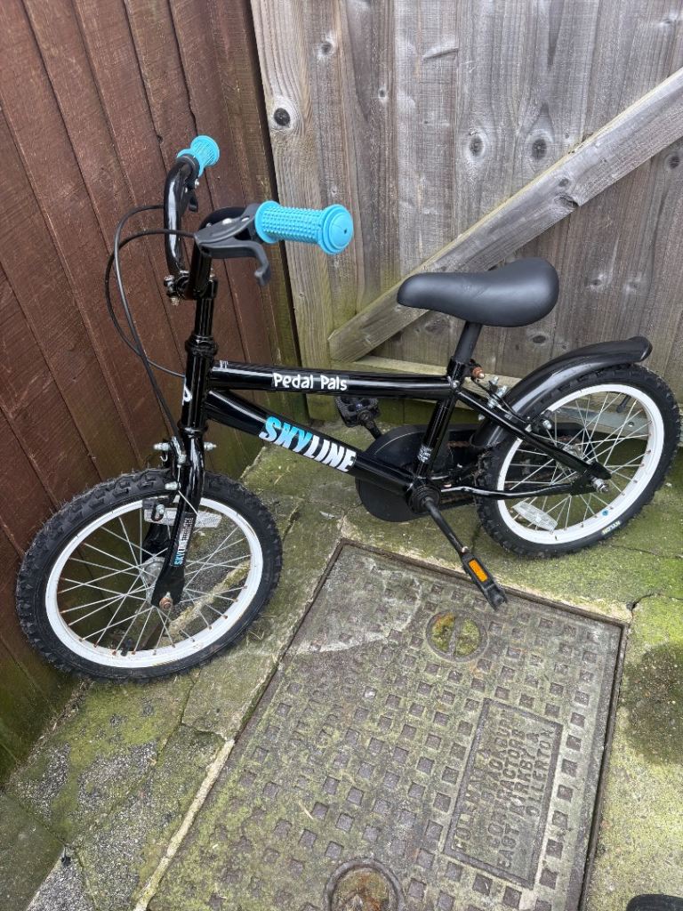 16” Pedal Pals Skyline kids bike 