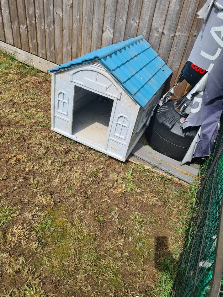 Dog kennel 