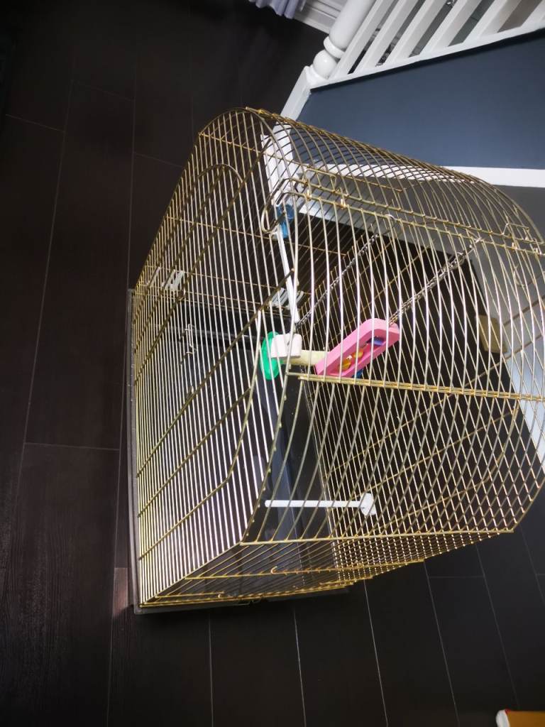 Bird cage large 