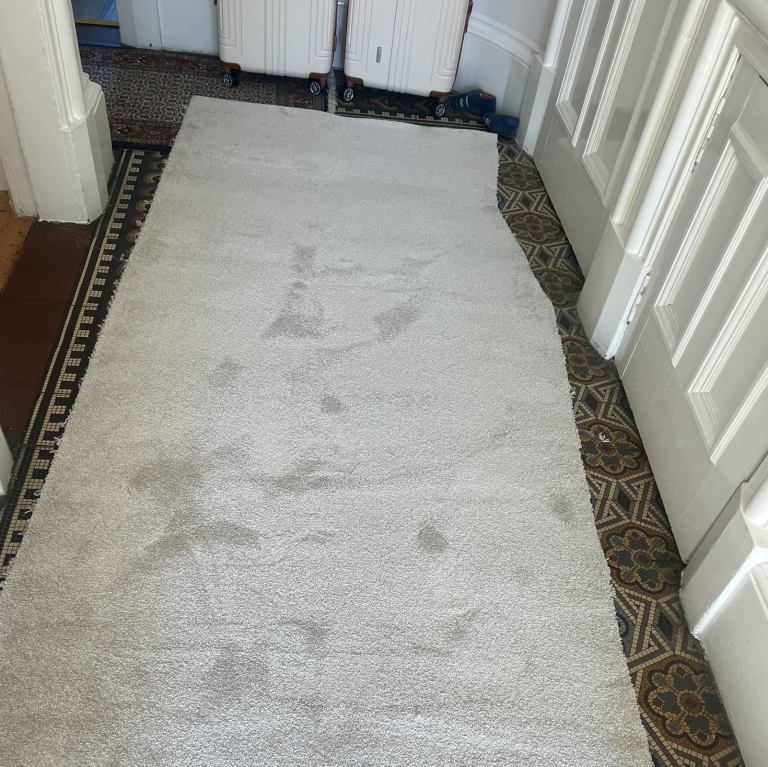 brand new of cut piece of carpet 