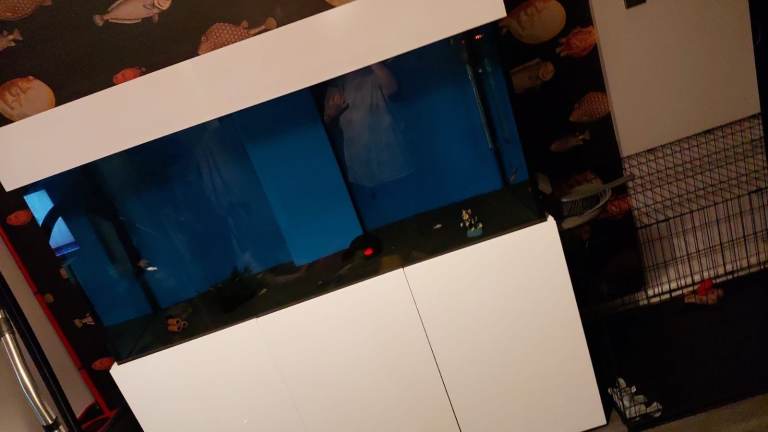 Large White Aquarium with Stand – Good Condition