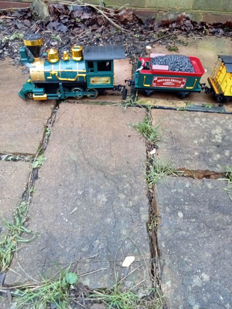 Large remote control train 