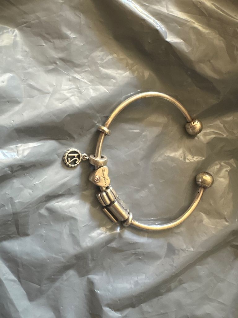 Pandora Silver Bracelet with Charms – Good Condition
