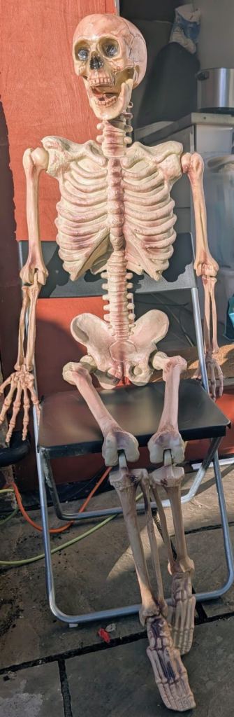 Skeleton Halloween Decorations 