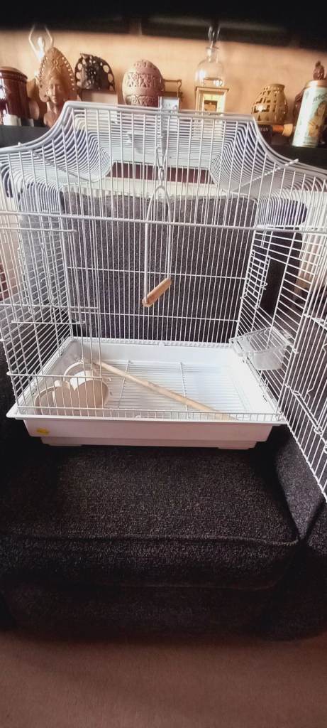 Like New Bird Cage Going Cheap Cheap Cheap
