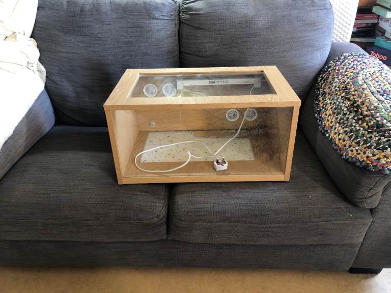 Terrarium 2ft