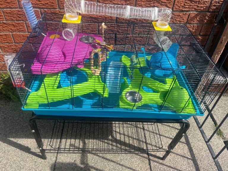 Hamster cage heaven 