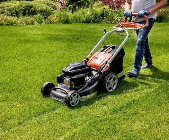 Cutting Grass