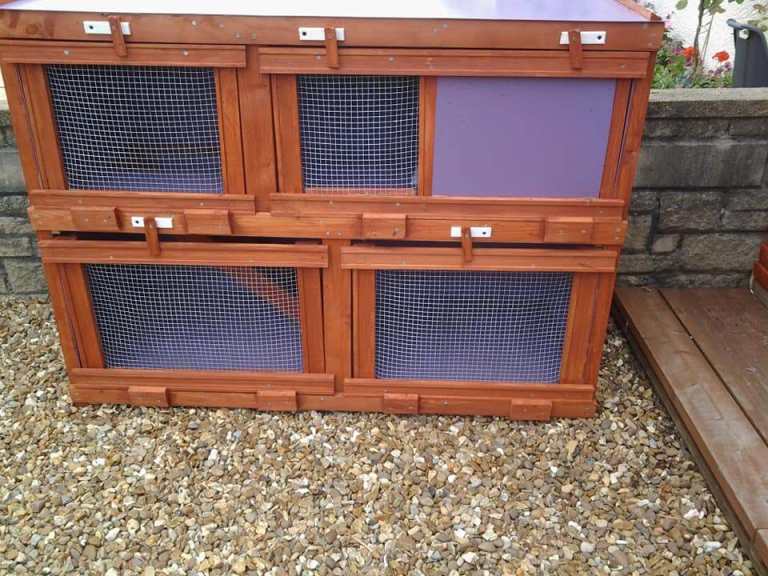 RABBIT HUTCH   SHOWROOM 7 DAYS  GLASGOW S/S   TOMMY 