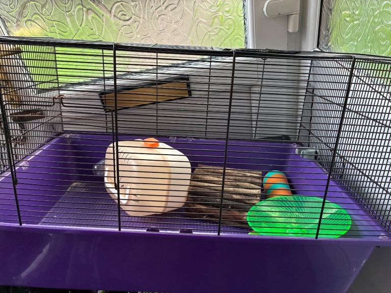 hamster cage is used but will still work  