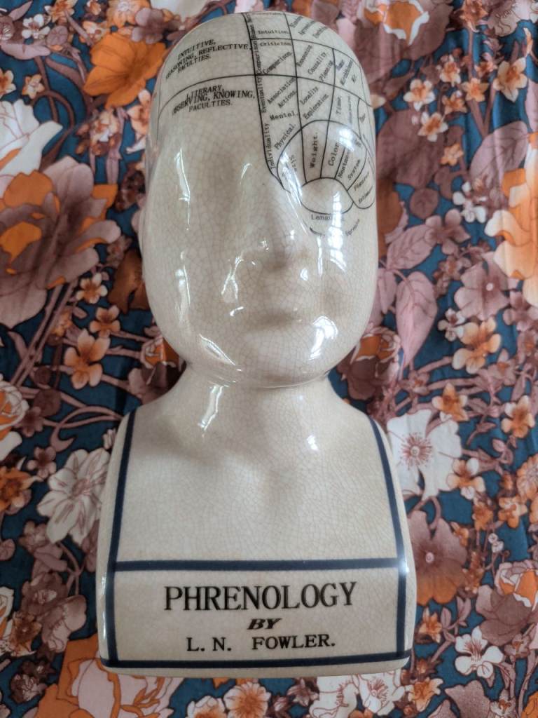 Ceramic Phrenology Head Bust by L. N. Fowler
