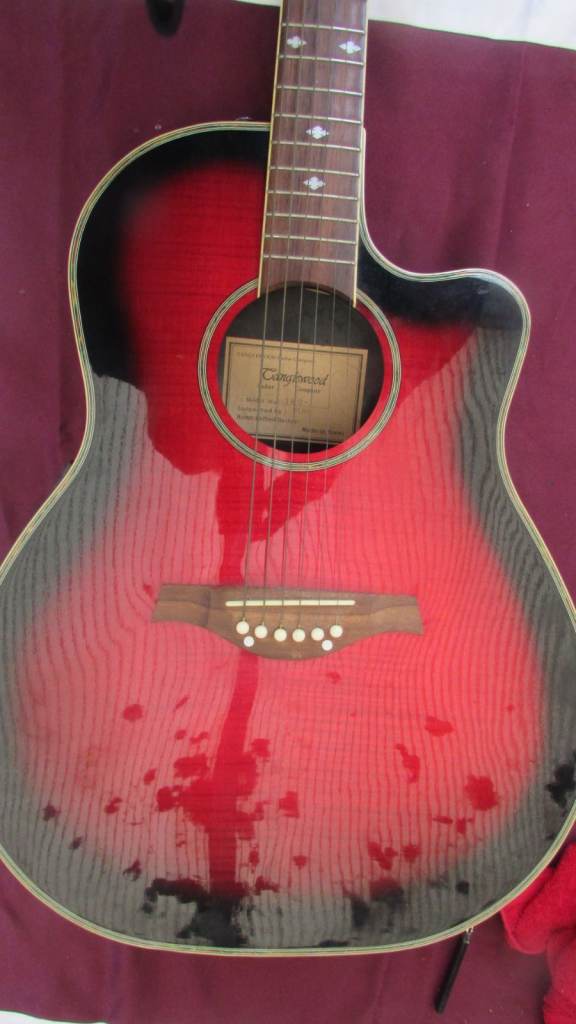 Tanglewood Odyssey TM07 - roundback - red sunburst - electro acoustic guitar