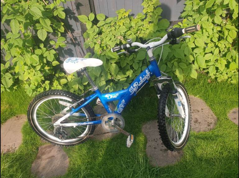 Kids raleigh bike