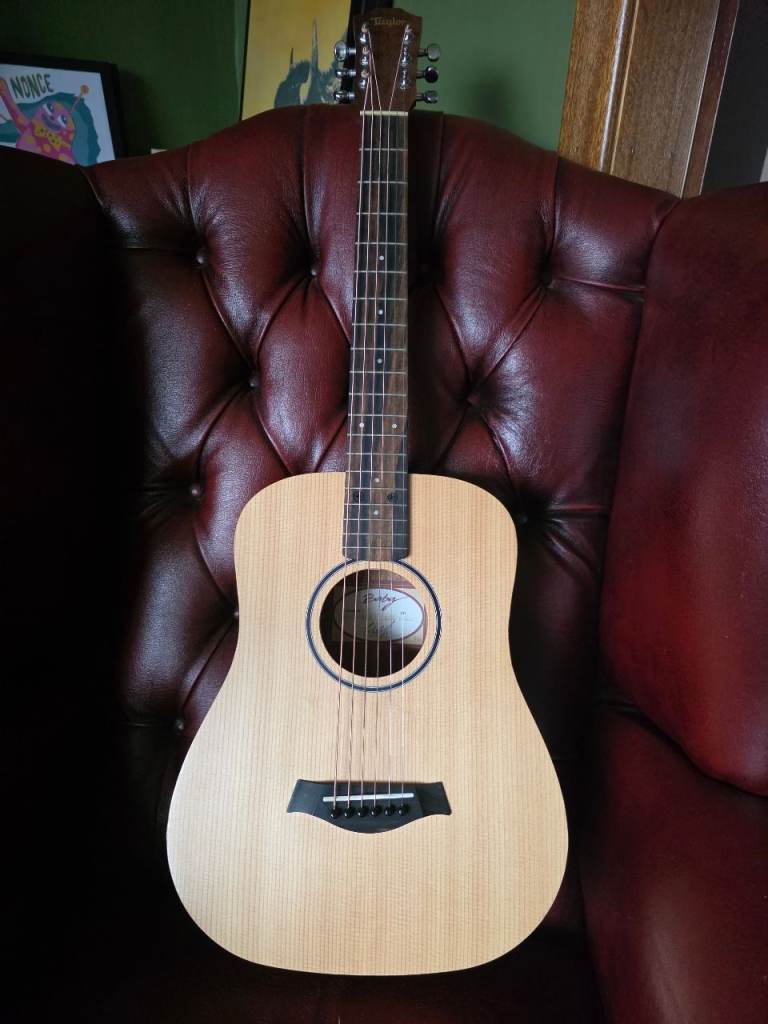 Taylor BT1 with gig bag
