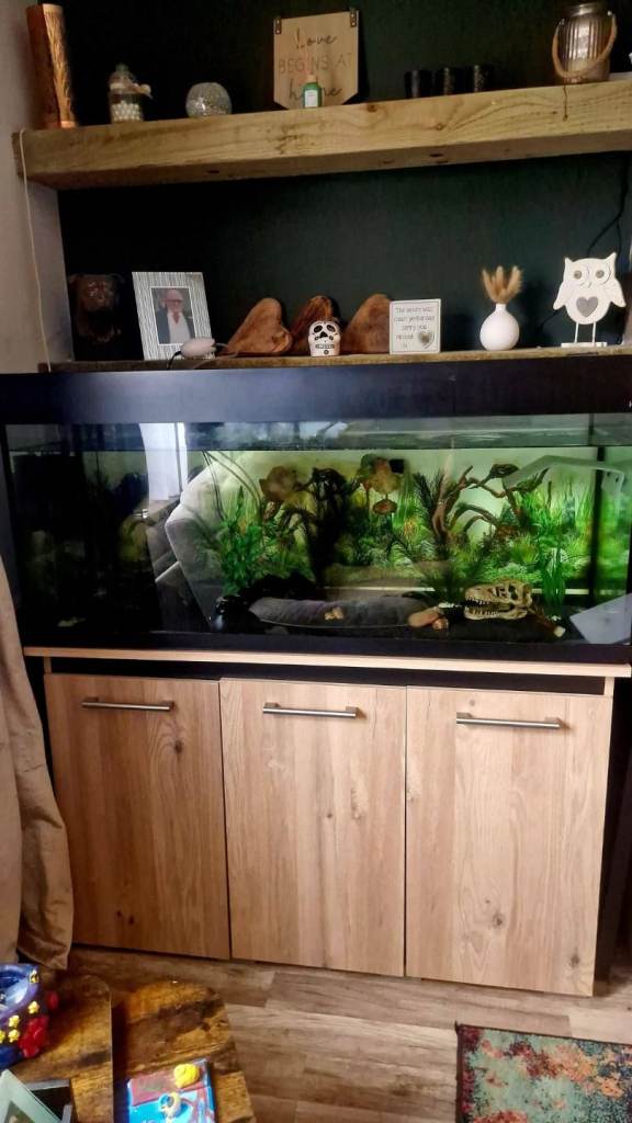 5tf fish tank and axo 