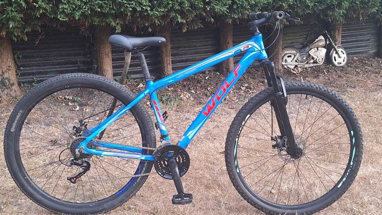 Mountain Bike 29er Serviced 
