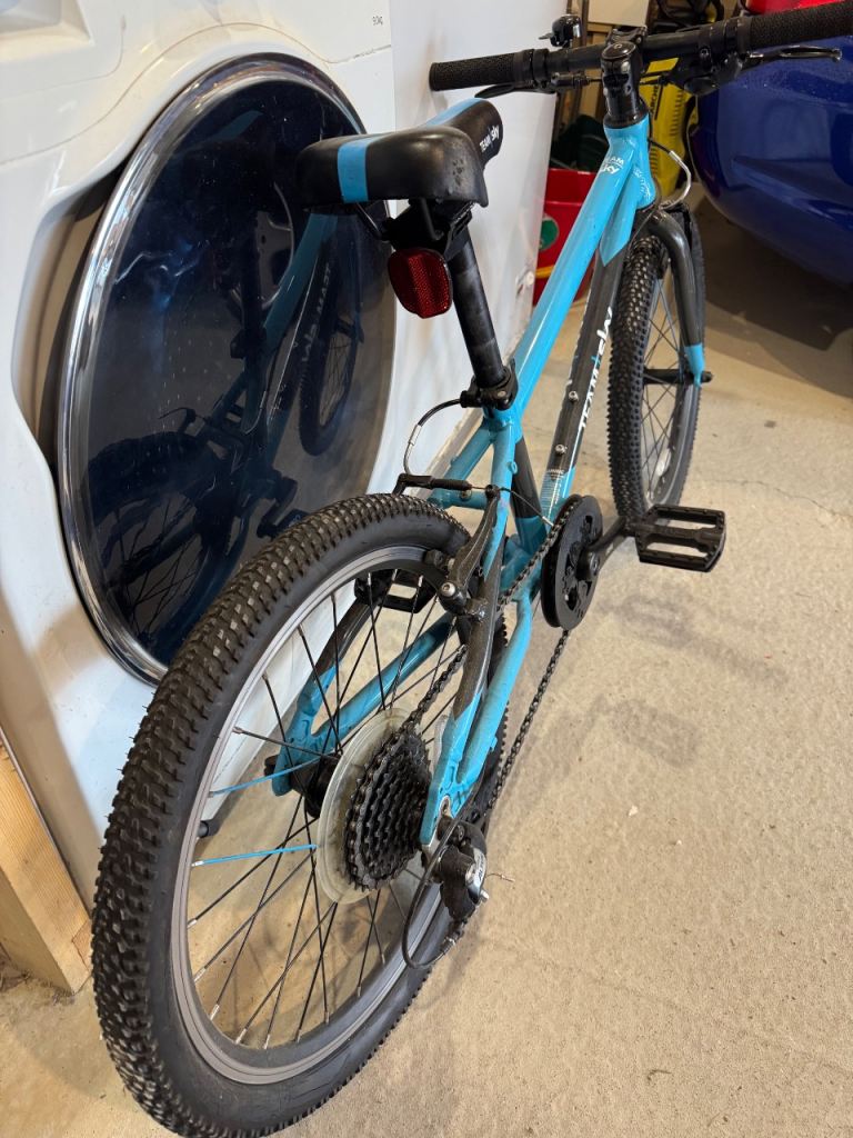 Frog 52 Team Sky Bike