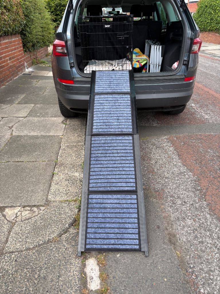 Dog Ramp