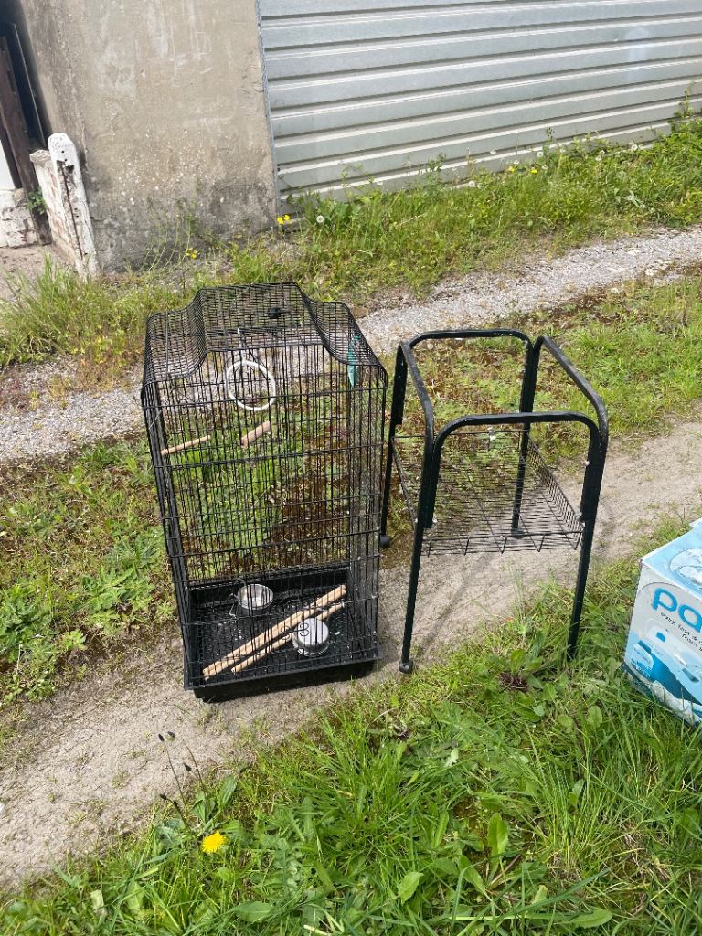 Bird cage free