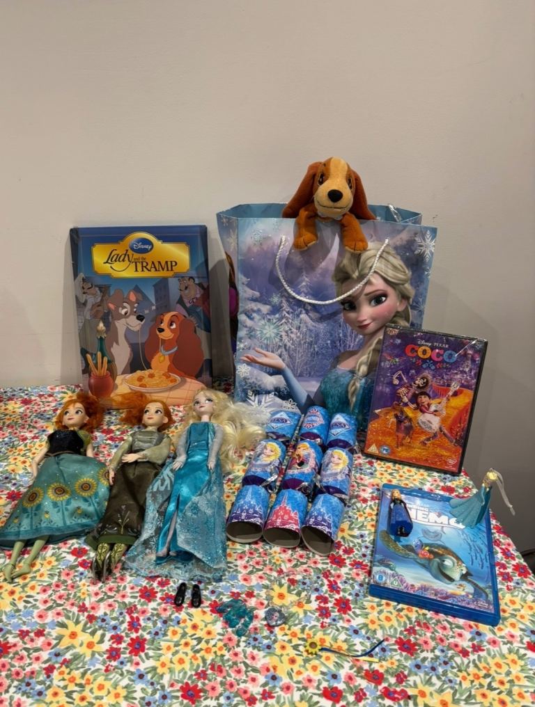 Frozen doll bundle 