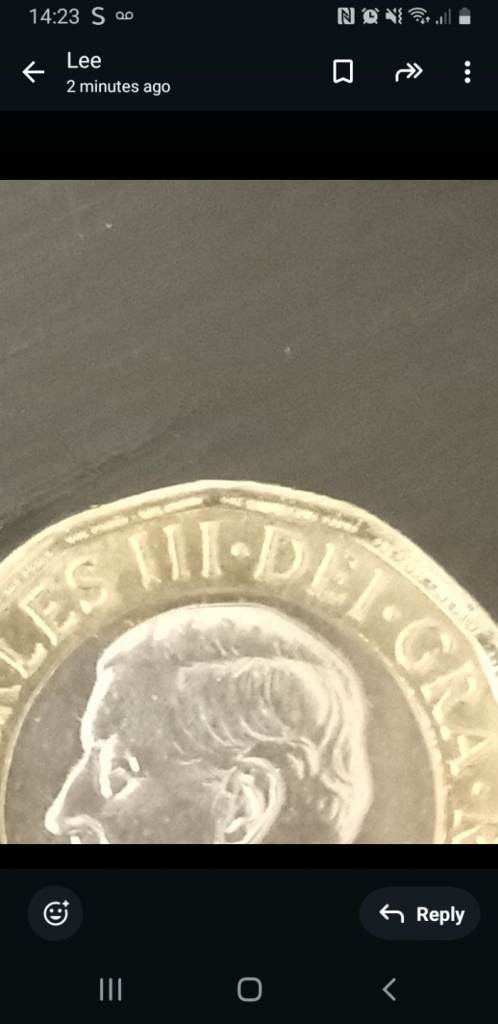 Rare King Charles 2023 with bees 