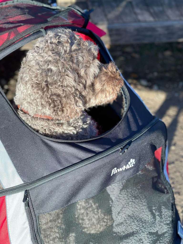 Pawhut Dog Stroller 