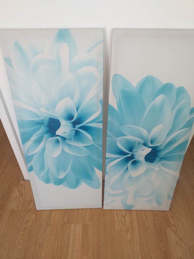 Canvas pictures 