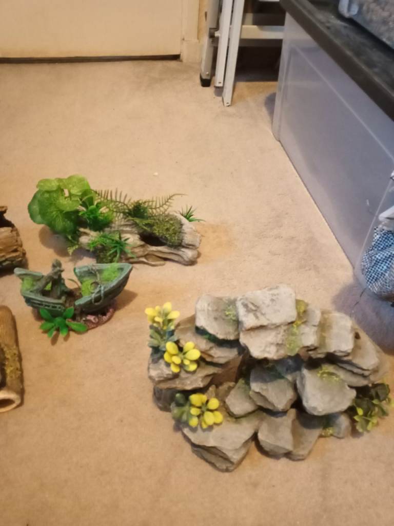 Tank decorations 