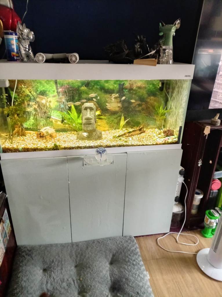 Large Aquarium Fish Tank with Cabinet - Good Condition