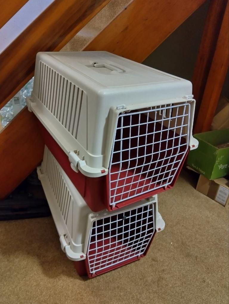 Pet carrier, medium, 2 available 