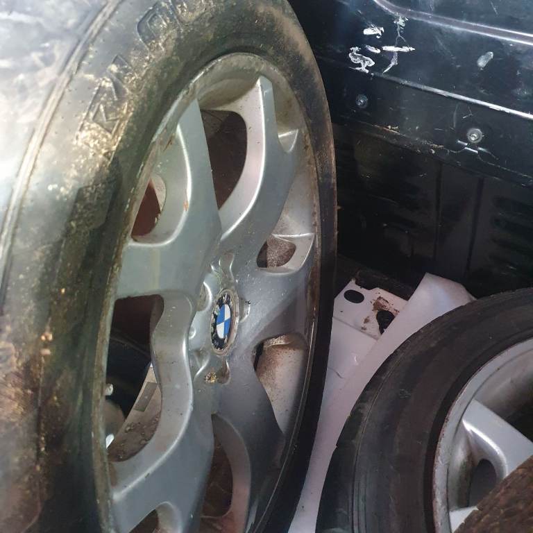 Tiger claws alloys 