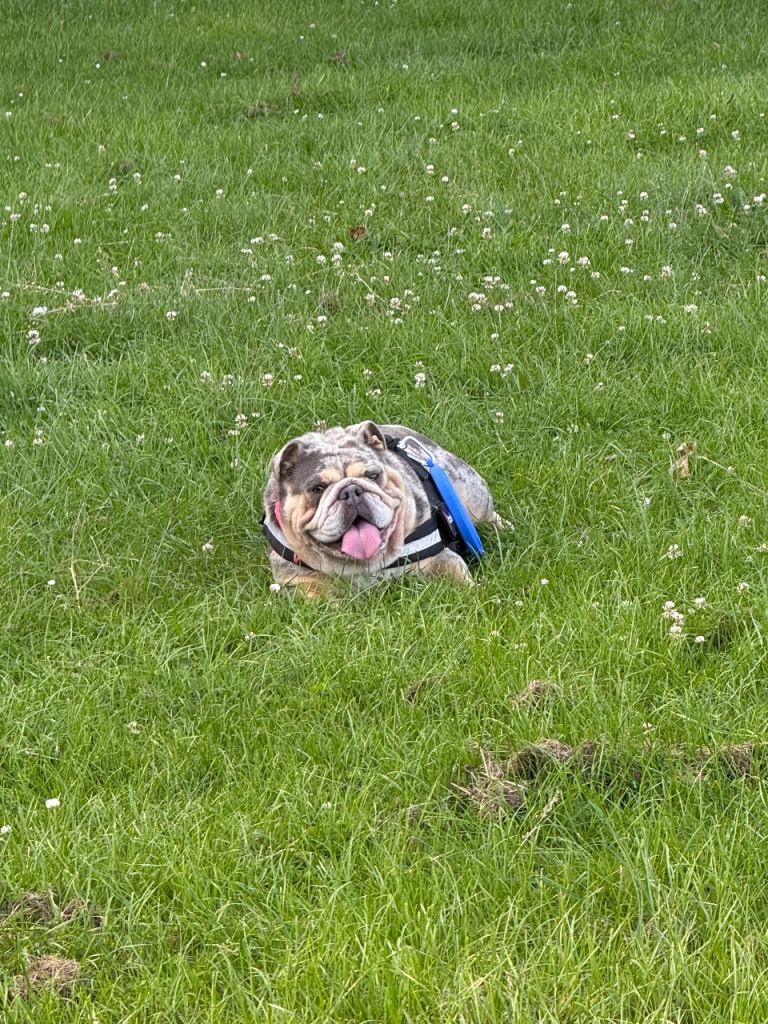 Rosie