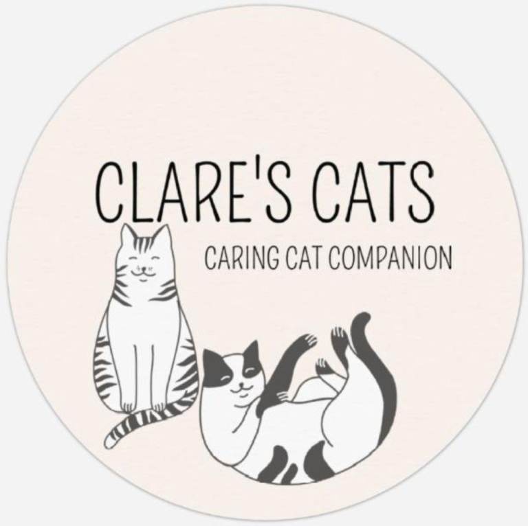 Clare’s Cats – Professional, DBS Checked & Insured Cat Sitting in Norwich