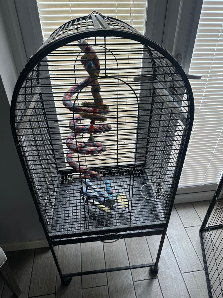 Large bird cage 