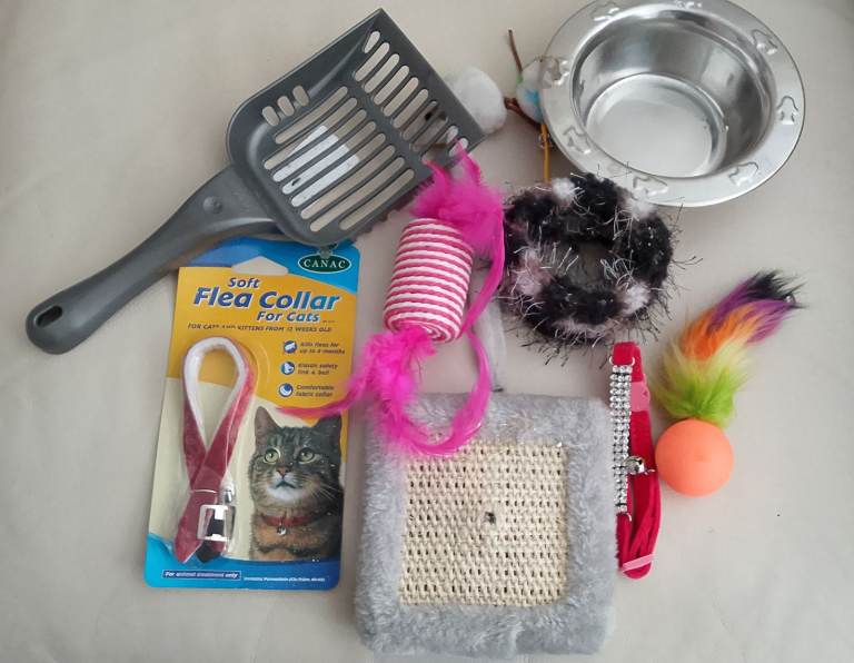 BRAND NEW KITTEN CAT STARTER KIT PACK 3