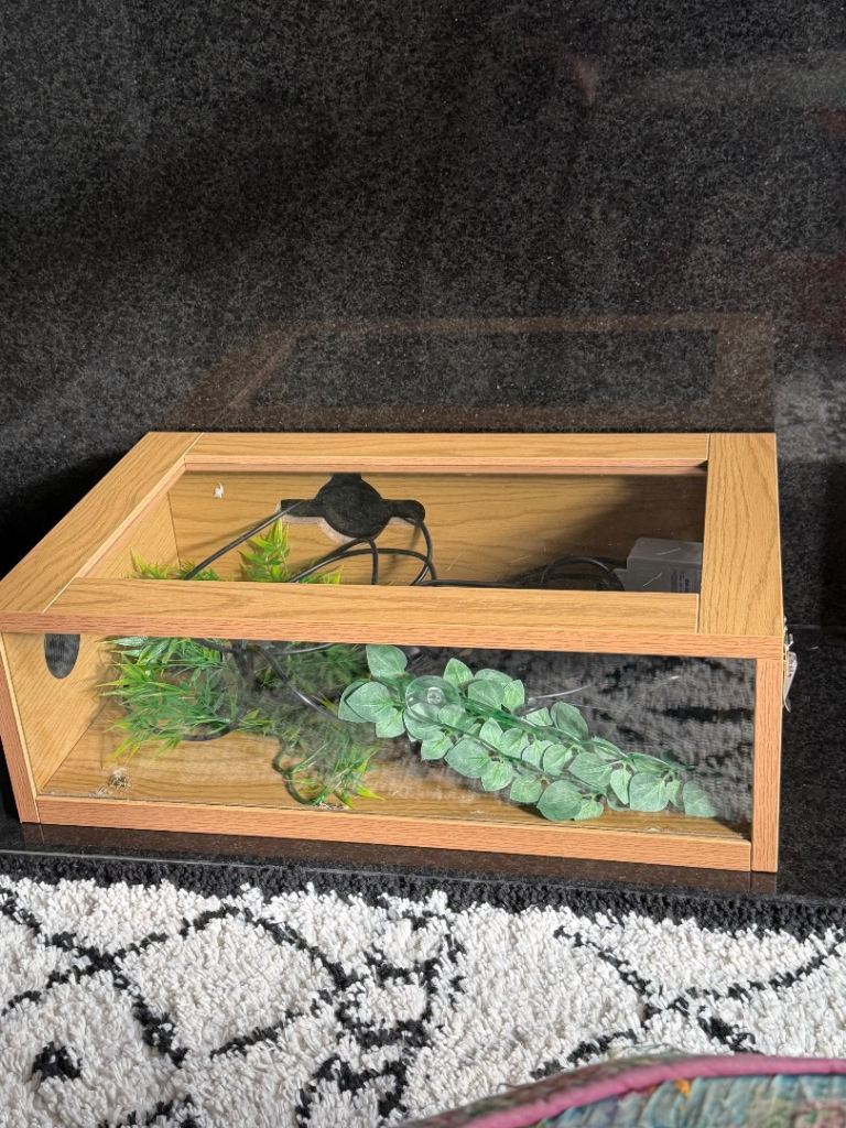 Hatchling starter vivarium with heat mat and mat stat 