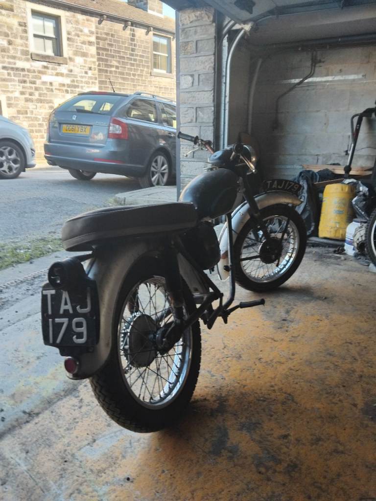 Triumph tiger cub