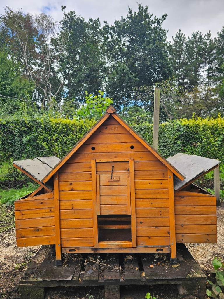 Chicken coop .Beddng.Mixed corn and feeder 