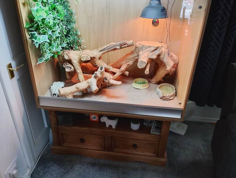 Vivarium 
