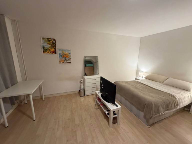 Bright Double Room next to Hoxton Station | June 8
