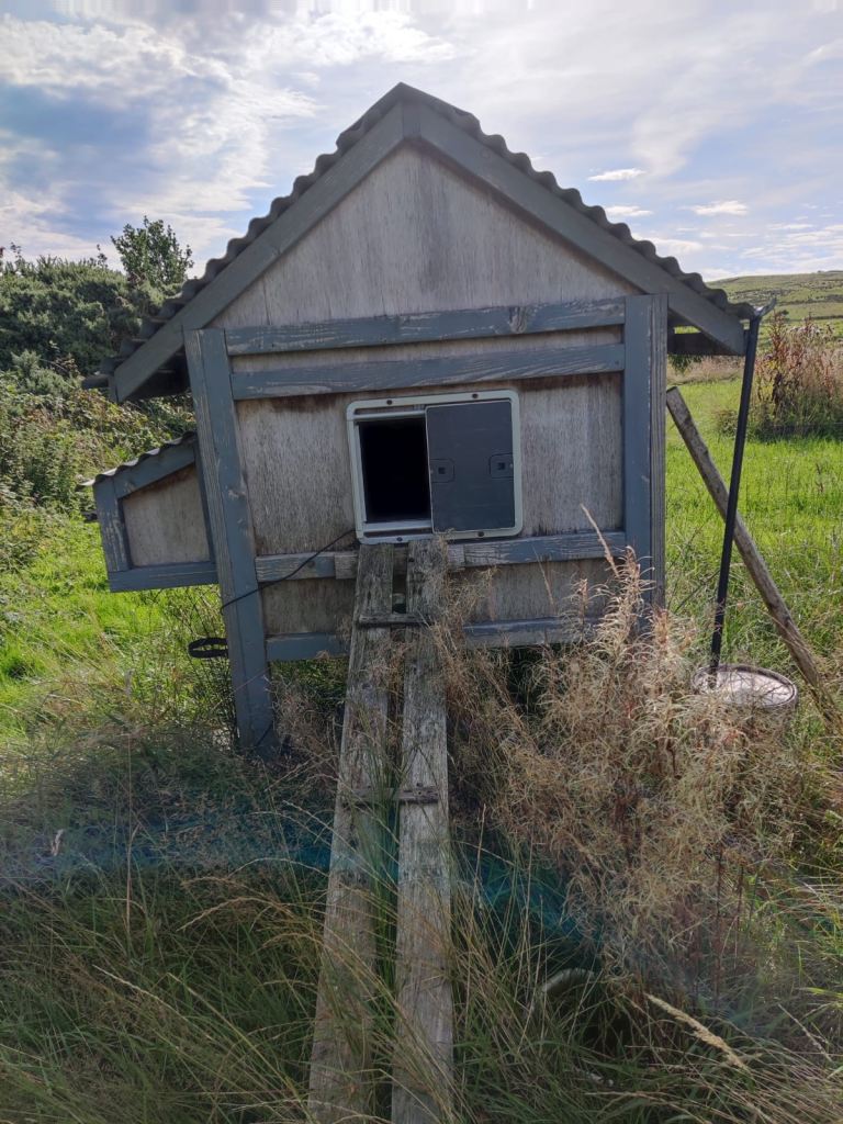 Automatic door chicken coop SOLD!!