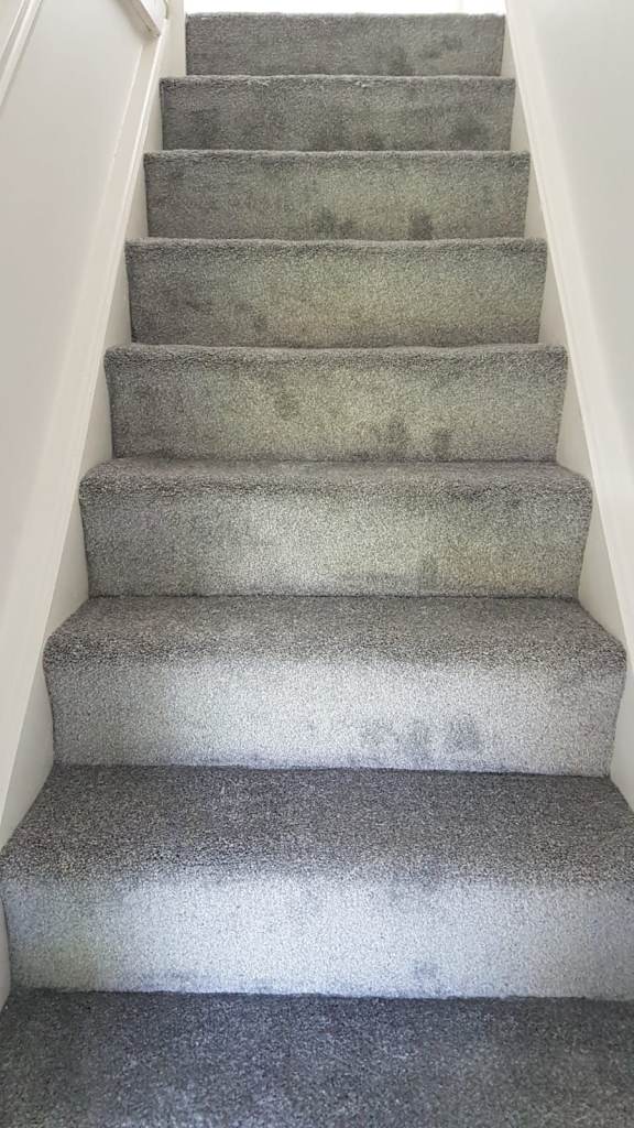 Redefine Your Staircase – Quality Carpets Crafted for Every Step