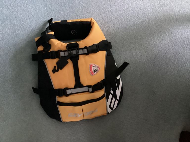 Small dog life jacket (Ezydog) 
