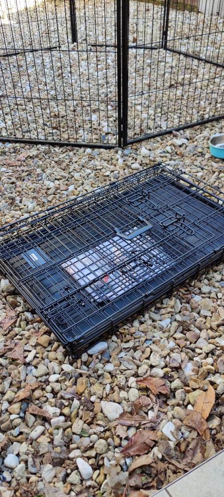 Dog Crate for sale 