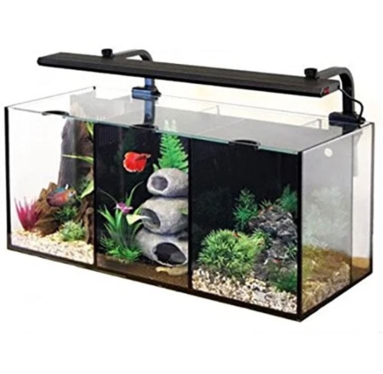 Aqua one Betta trio complete setup