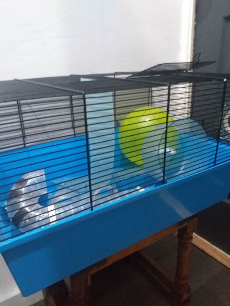 Hamster cage 