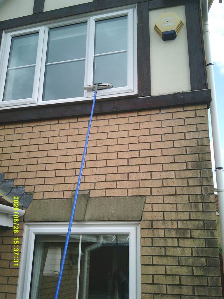 Long Reach Window Cleaning Brush with Telescopic Pole
