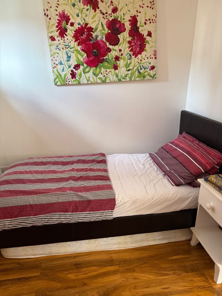 Single room available for female 