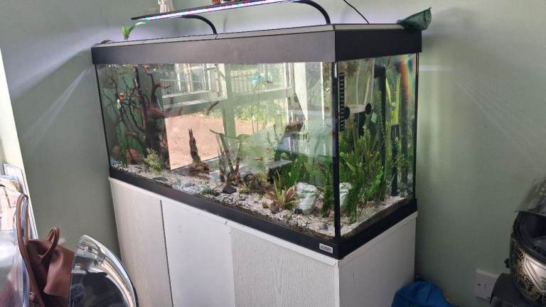 Fluval 4ft fish tank 