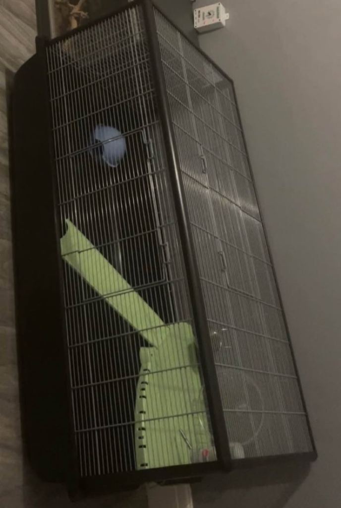 Brand new Savic plaza 120 Hamster and mouse cage 